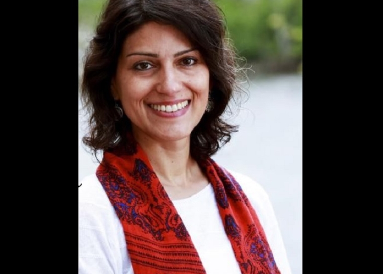 Dr. Melinda Negron-Gonzales to Gulan: Transitional governments in post-conflict settings are inherently precarious