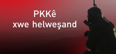 PKKê bi awayekî fermî xwe helweşand