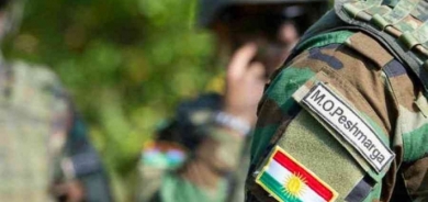 Tê daxwaz kirin ku Pêşmerge cihê hêzên PKKê li Qendîl û Şingalê bigre