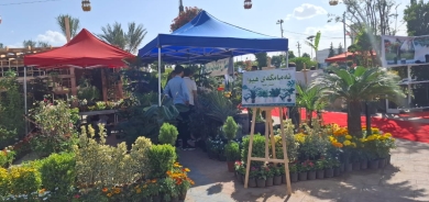 معرض في اربيل يطرح 5 آلاف نوع من الزهور والنباتات