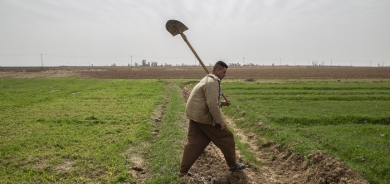 Kirkuk Farmers Welcome Wheat Subsidy but Demand Protection from Military Harassment