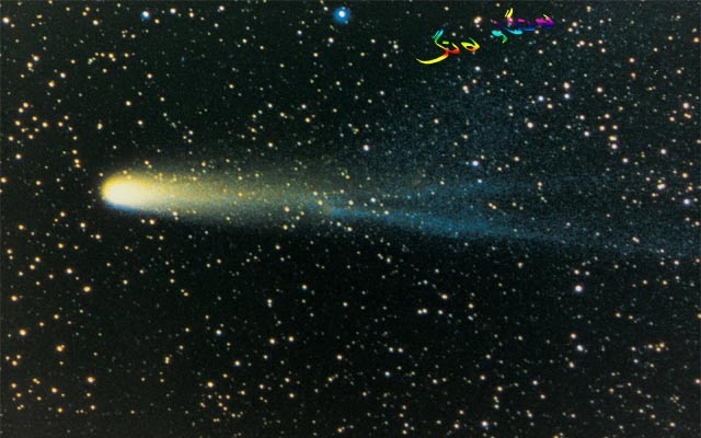 بۆ زانیاریت، كلكداری هالی