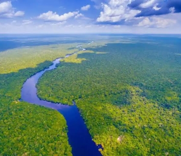 فەرەنسا زیندانێک لە دارستانەکانی ئەمازۆن دروست دەکات