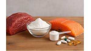 هل يجب أن تتناول النساء الكرياتين؟