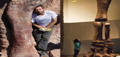 ئێسكە پەیكەری دەیناسووڕەكان هێندی مرۆڤێكن