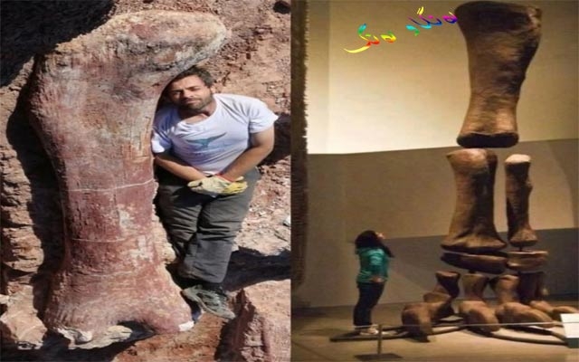 ئێسكە پەیكەری دەیناسووڕەكان هێندی مرۆڤێكن