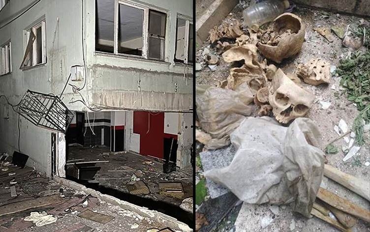 Di nava kîsan de 3 hestiyên seriyan hatin dîtin