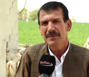 مەسعوود گەردی  لە شارەدێی قوشتەپە - پڕۆژەی زنجیر:  ئەگەر پلان هەبێت حكومەت دەتوانێت  كەرتی كشتوكاڵ بە تەواوی ببووژێنێتەوە