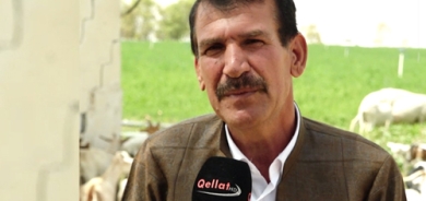 مەسعوود گەردی  لە شارەدێی قوشتەپە - پڕۆژەی زنجیر:  ئەگەر پلان هەبێت حكومەت دەتوانێت  كەرتی كشتوكاڵ بە تەواوی ببووژێنێتەوە