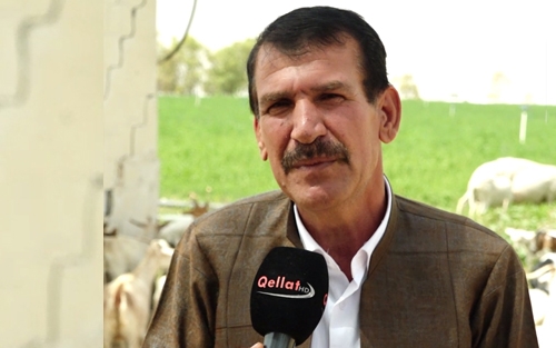 مەسعوود گەردی  لە شارەدێی قوشتەپە - پڕۆژەی زنجیر:  ئەگەر پلان هەبێت حكومەت دەتوانێت  كەرتی كشتوكاڵ بە تەواوی ببووژێنێتەوە