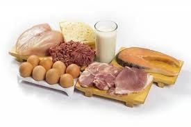 ماذا يعني وجود عكارة في البول؟ وما علاقة تناول البروتين بذلك؟