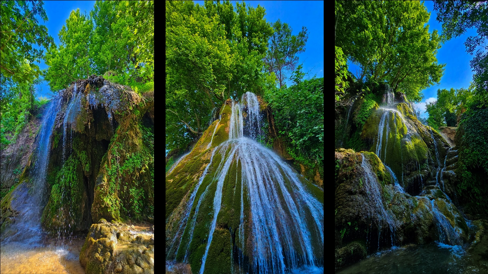 في اليوم العالمي للبيئة.. حكومة كوردستان تعزز المساحات الخضراء