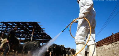 107 إصابات.. الصحة العراقية تحذر من تحول عيد الاضحى الى موسم للنزفية