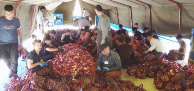 ارتفاع عدد الأضاحي في إقليم كوردستان خلال عيد الأضحى 2025