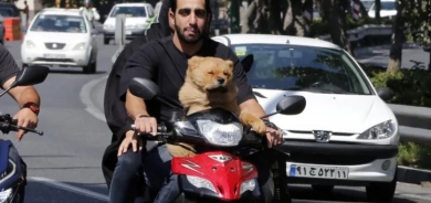 Iran Expands Ban on Dog Walking to Multiple Cities, Citing Public Health Concerns