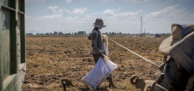 Li Tirkiyeyê 3,5 milyon zarokên karker hene