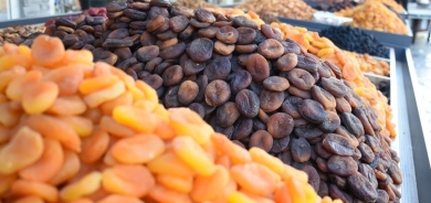 MELETÎ - Ji ber sir û seqemê firotina qeysiyan kêm bû