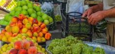 فواكه دهوك الطبيعية تغزو المواقع السياحية وتنعش اقتصاد المنطقة