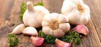 ماذا يحدث لجسمك عند تناول الثوم بانتظام؟