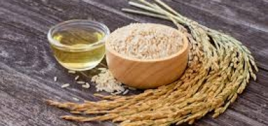 مركّب طبيعي في نخالة الأرز يهدّئ تقلصات الأمعاء