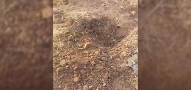 التحالف الدولي يُسقِط طائرتين مسيّرتين في أجواء أربيل