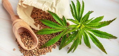 تعاطي الماريغوانا يُضاعف خطر الوفاة بأمراض القلب