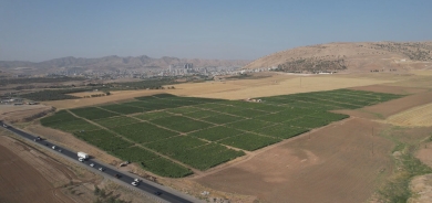 دهوك تصدّر 17 ألف طن من المنتجات المحلية خلال 5 أشهر