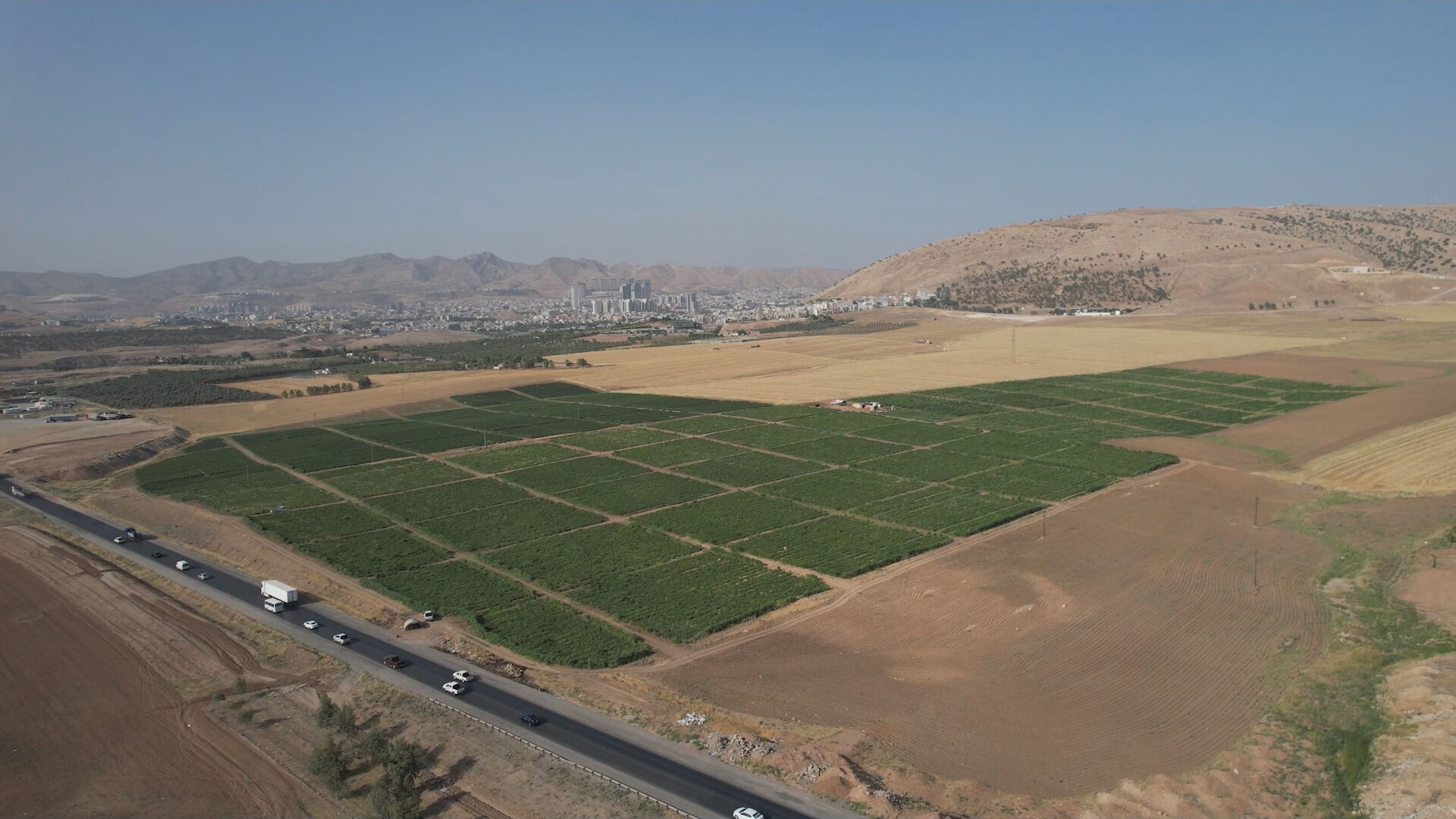 دهوك تصدّر 17 ألف طن من المنتجات المحلية خلال 5 أشهر