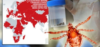 تای خوێنبەربوون چییە؟