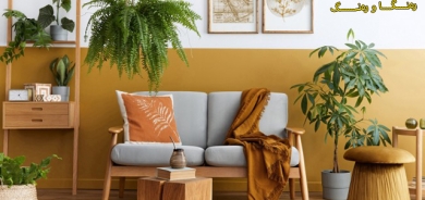 دیكۆری ڕازاندنەوەی ماڵ بە ڕووەك