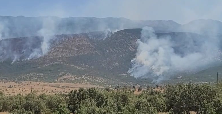 احتراق أراض زراعية بقصف مدفعي تركي استهدف 