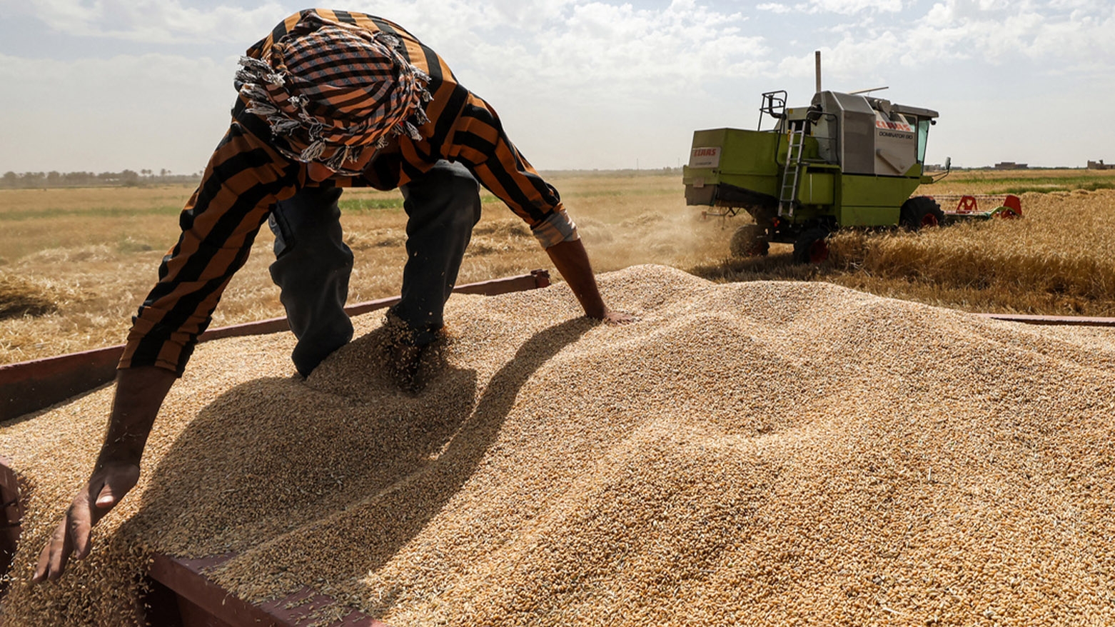 Rêveberiya Xweser: Tevî hişkesaliyê, berhemê genim têra du salan dike