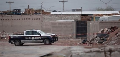 شێست تەرمی مۆمیاکراو لە مەکسیک دۆزرایەوە