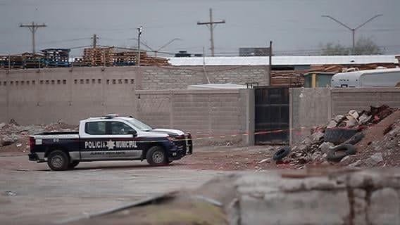 شێست تەرمی مۆمیاکراو لە مەکسیک دۆزرایەوە