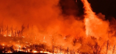 ئاگرێکی گەورە کە بە ئاگری گورگ ناسراوە لە ویلایەتی کالیفۆرنیا روویدا