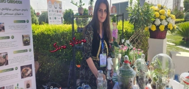 هێرۆ گاردن بۆ دەسترەنگینی لە گوڵوگوڵزاردا