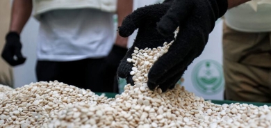 Iraq Grapples with Rising Drug Threat from Iran and Syria