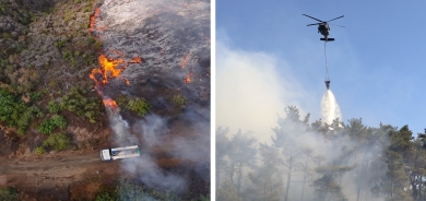 Hewlên vemirandina agir li Laziqiyê didomin: 14 hezar hektar zevî û daristan şewitîne
