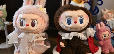 HEWLÊR - Pêlîstoka Labubuyê hat qedexekirin: Sedem çi ye?