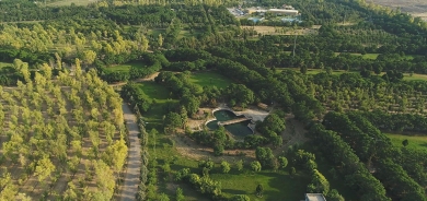 حكومة كوردستان توسّع المساحات الخضراء بـ 20 بالمئة وتمنح أكثر من 14 ألف ترخيص بيئي