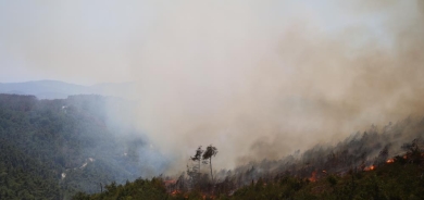 Li Laziqiyê heta niha 16 Hezar hektar daristan şewitîne