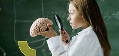 الدماغ يحدد بدقة العمر البيولوجي للشخص وخطر وفاته