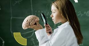 الدماغ يحدد بدقة العمر البيولوجي للشخص وخطر وفاته