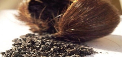 عەتری میسكی ئاسك