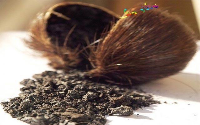 عەتری میسكی ئاسك