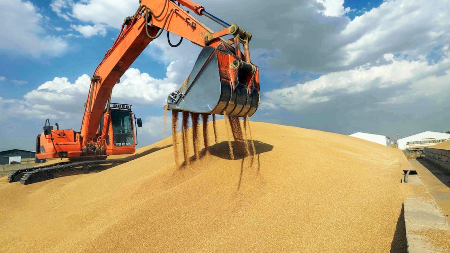 مدير سايلو أربيل: استلام أكثر من 121 ألف طن من القمح هذا العام