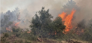 Tirkiye - Di şewata daristanên Eskîşehîrê de 10 kesan jiyana xwe ji dest dan