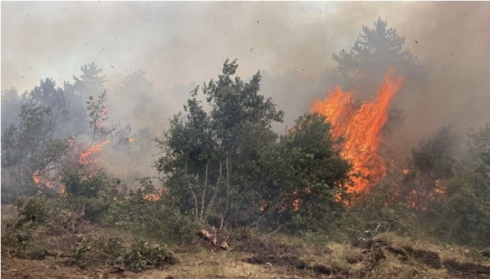 Tirkiye - Di şewata daristanên Eskîşehîrê de 10 kesan jiyana xwe ji dest dan