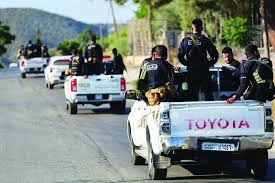 تفكيك خلايا ماهر الأسد في الساحل السوري