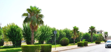 مشروع المياه الطارئة بأربيل يعزز المساحات الخضراء ويقلل الاعتماد على الآبار